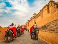 Rajasthan Tour